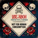 🧪 25E-NBOH Blotters