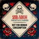 🧪 25B-NBOH Blotters